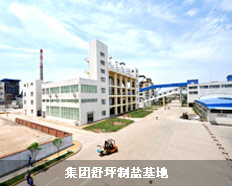 雙層工業(yè)微波爐在四川久大品種鹽正式投入生產