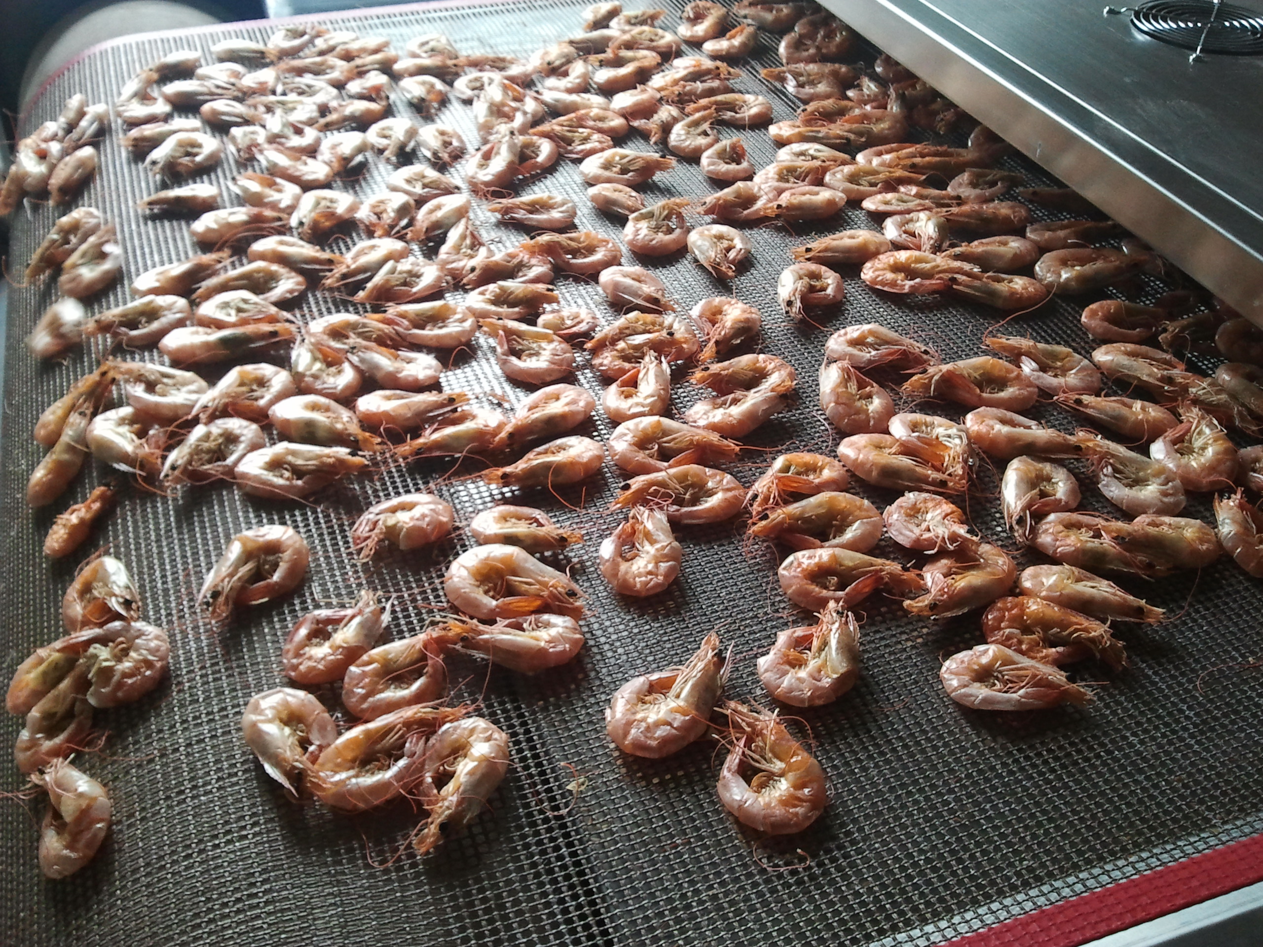 南美白對蝦微波烘烤設備